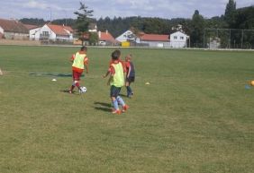 Soustředění dorostu a přípravky - Liblín